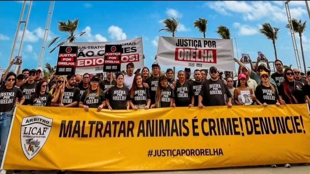 Imagem da notícia: PROTESTO NA BEIRA-MAR REÚNE ATIVISTAS CONTRA VIOLÊNCIA ANIMAL E COBRA PUNIÇÕES MAIS RIGOROSAS NO CEARÁ